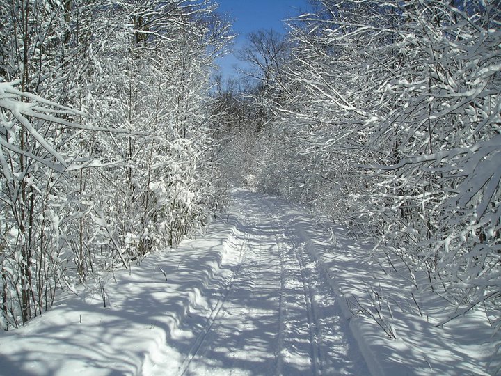 Cramadog Snowmobile Club