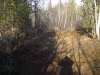 Safer Trail